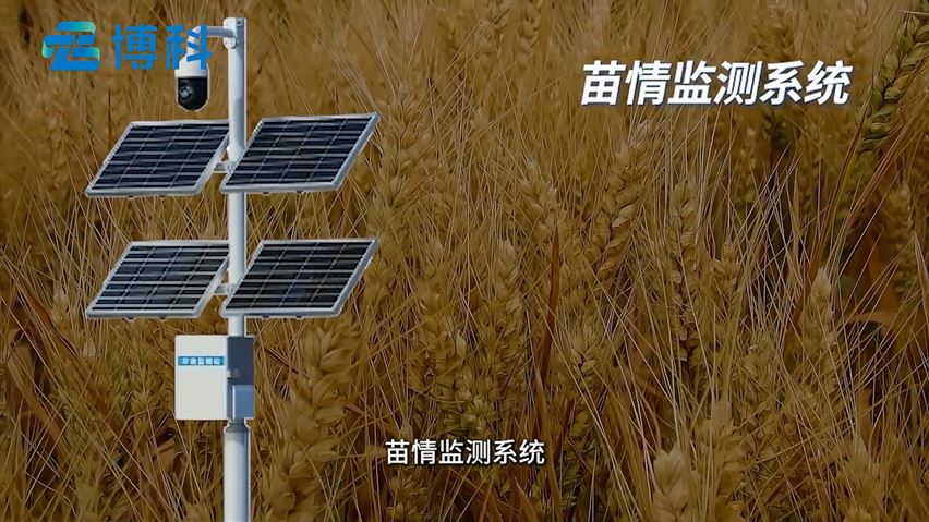 苗情監(jiān)測系統(tǒng)是什么？它有那些作用