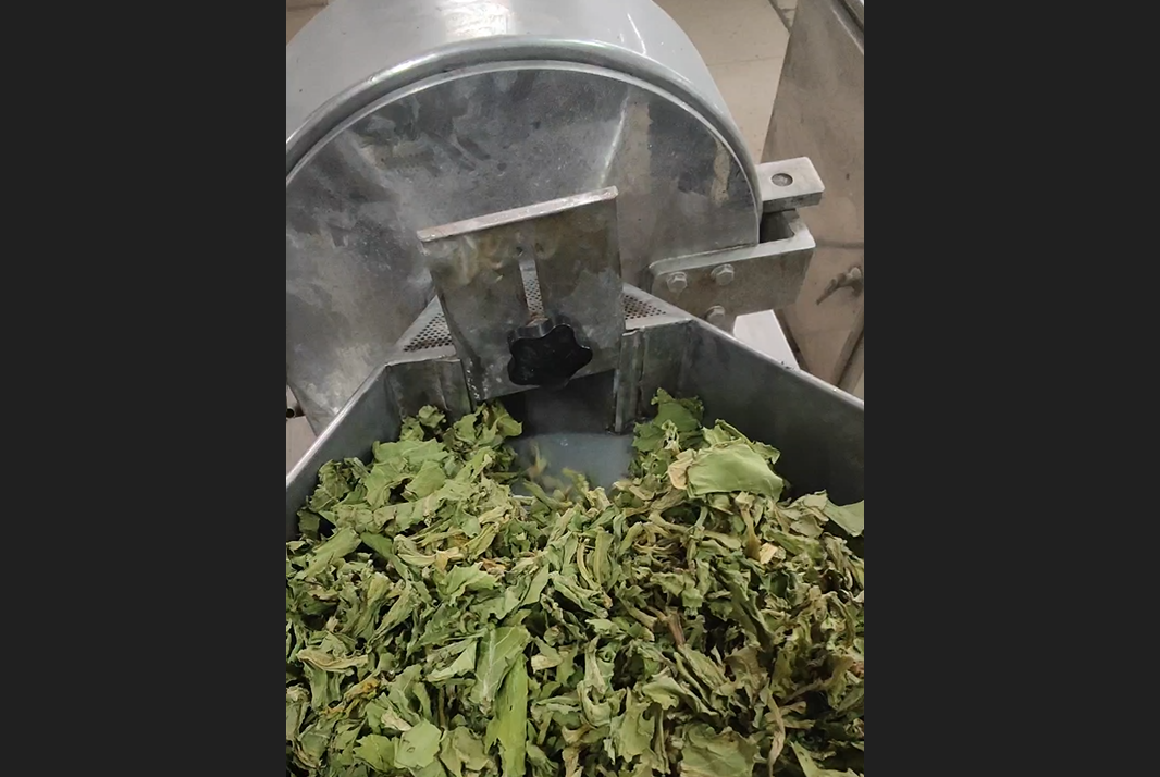 烘干的菜葉粉碎