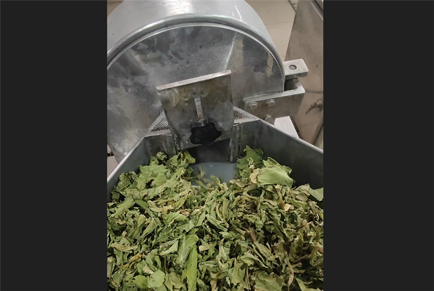 烘干的菜葉粉碎