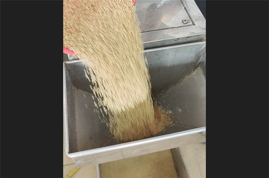 芝麻切碎機(jī)