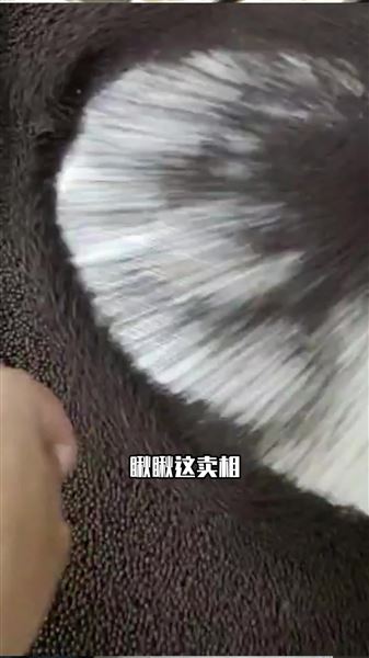 動態烘干機