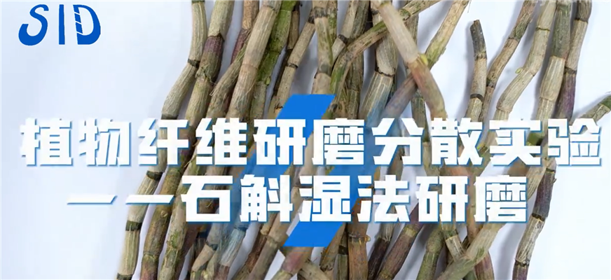 太仓希德：植物纤维研磨分散实验一一石斛湿法研磨