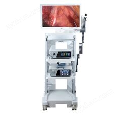 恒佳 醫(yī)用一體化內(nèi)窺鏡攝像系統(tǒng)