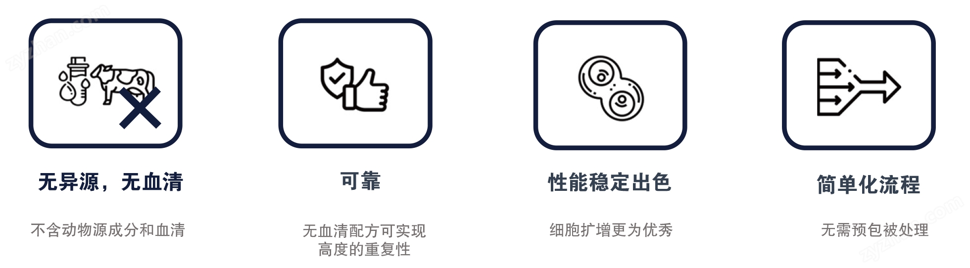 MesenPlify™ xSF間充質(zhì)干細(xì)胞擴(kuò)增培養(yǎng)基