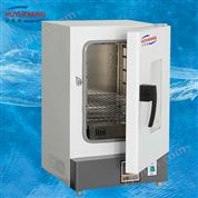 DHG-9245A 300℃立式電熱鼓風(fēng)干燥箱